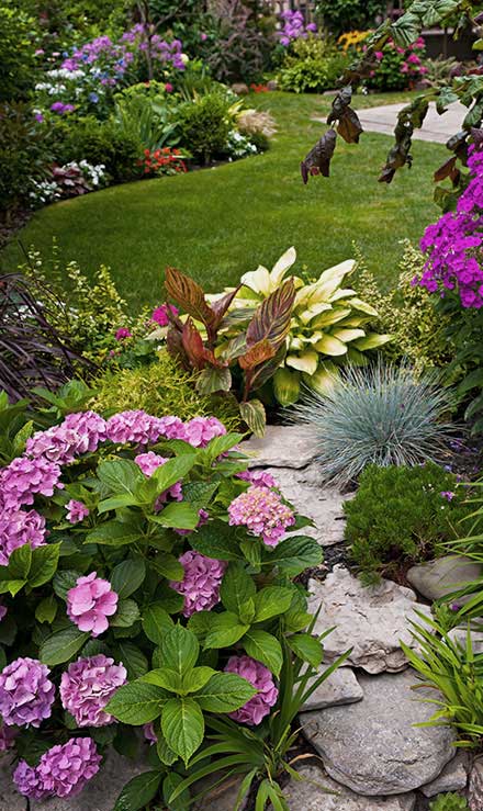 LinkNow Media Commercial Landscaping
