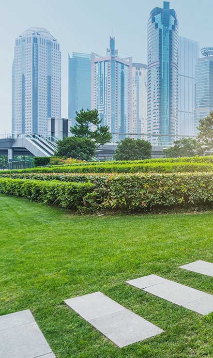 Contact LinkNow Media for Commercial Landscaping Services