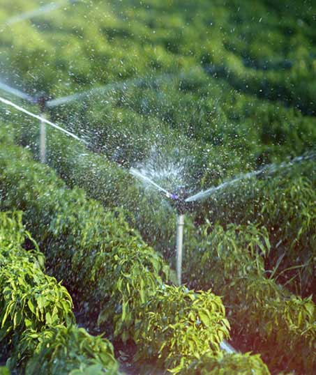 LinkNow Media Commercial Irrigation System Repair