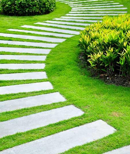LinkNow Media Commercial Landscape Construction