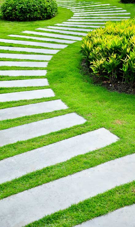 LinkNow Media Commercial Landscape Construction