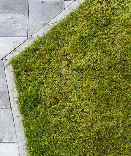 LinkNow Media Commercial Lawn Dethatching