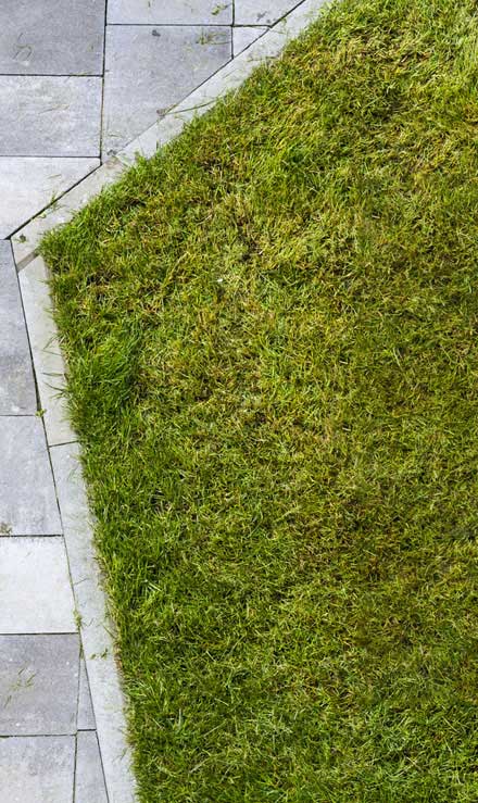 LinkNow Media Commercial Lawn Dethatching
