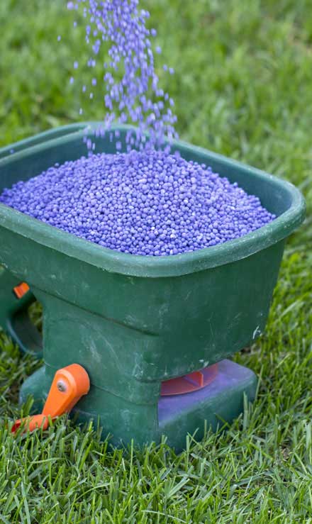 LinkNow Media Commercial Lawn Fertilization