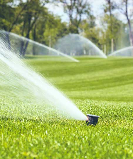LinkNow Media Commercial Sprinkler Installation